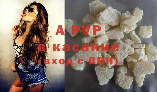 ECSTASY Чекалин