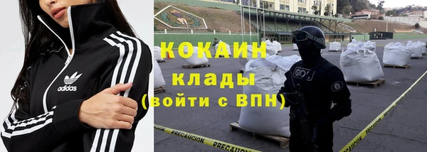 ECSTASY Чекалин