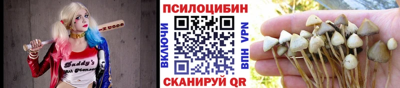 Псилоцибиновые грибы прущие грибы  OMG онион  Безенчук  где купить  